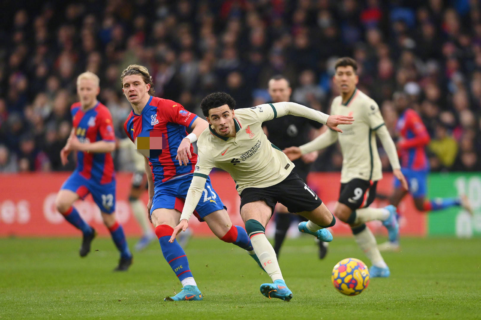 占据更为有 占据更为有