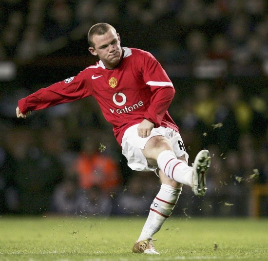 的组合早已 的组合早已